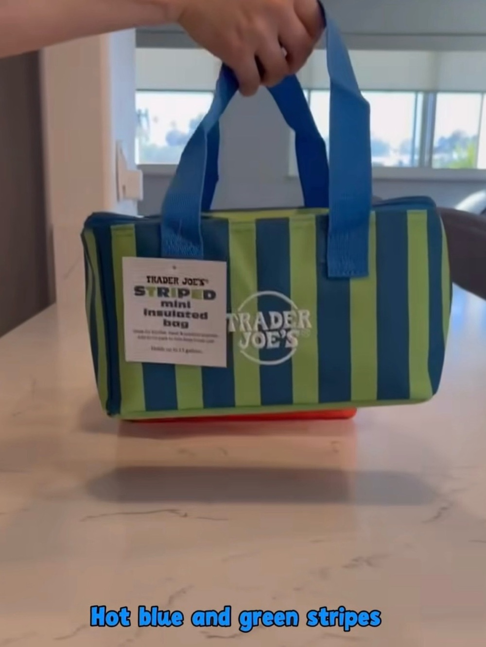 Trader Joe's Striped Mini Insulated Tote - Blue & Green NWT